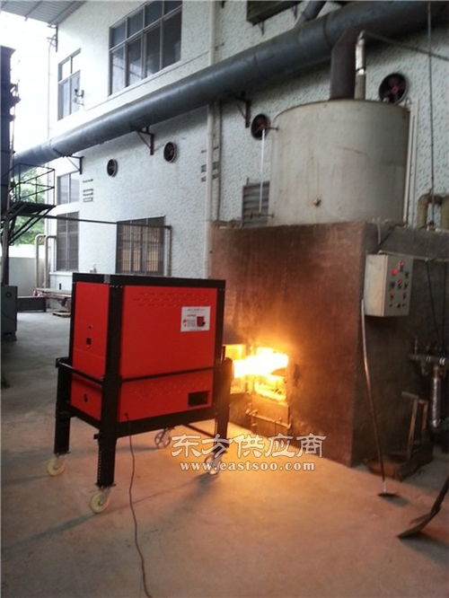 生物质燃烧锅炉厂家直销 云南生物质燃烧锅炉 安冬企业图片
